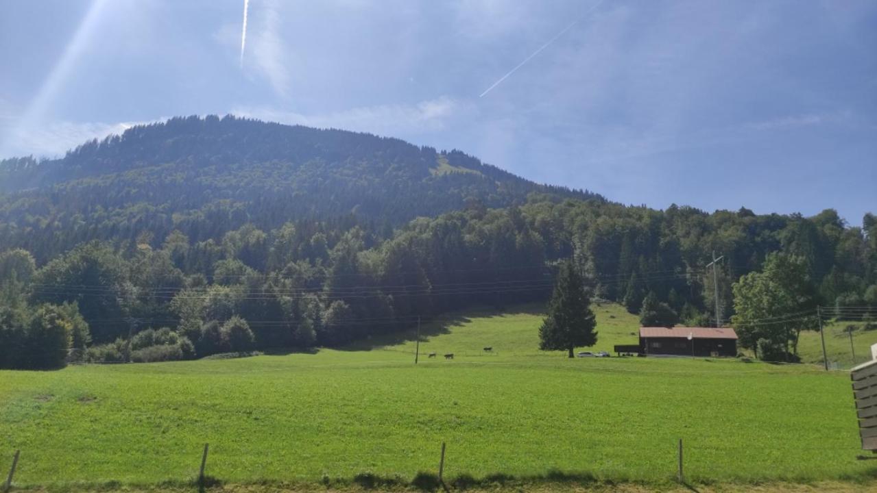 Alpzeit, Immenstadt/buehl Apartment Immenstadt im Allgaeu